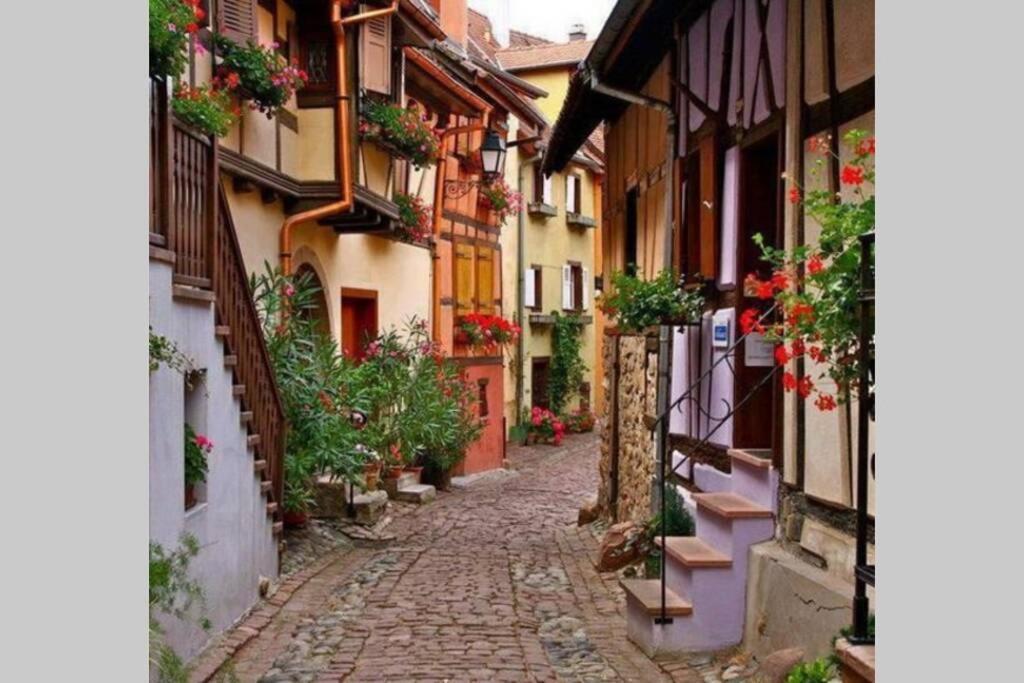 Gite à Eguisheim proche de Colmar et Kaysergberg. Exterior foto